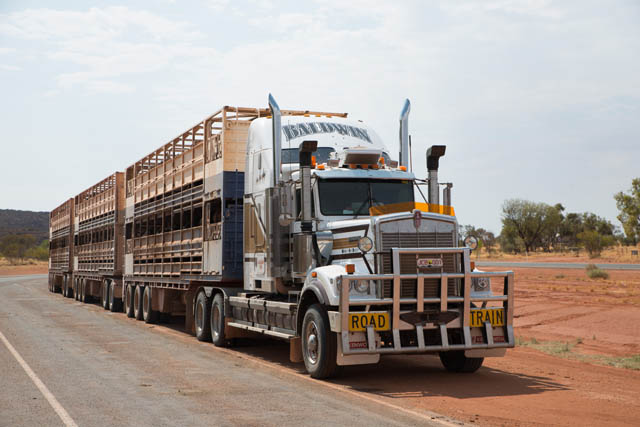 Business loan broker reviewing financial documents to secure competitive funding